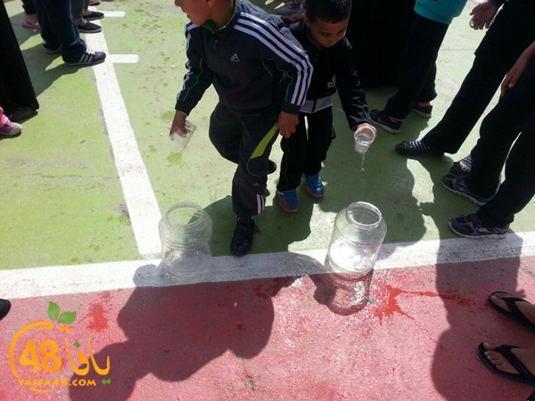 yom7era2 ludk (8).jpg